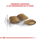 Royal Canin Gato Ageing +12 2Kg