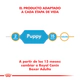 Royal Canin Perro Boxer Adulto 12Kg