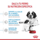 Royal Canin Perro Starter Giant 10Kg