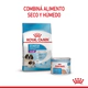 Royal Canin Perro Starter Giant 10Kg