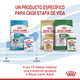Pouch Royal Canin Perro Mini Puppy