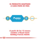 Royal Canin Perro Bulldog Frances Puppy