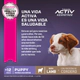 Eukanuba Perro Cachorro Sabor Cordero