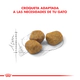 Royal Canin Gato Indoor 7+