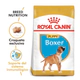 Royal Canin Perro Boxer Adulto 12Kg