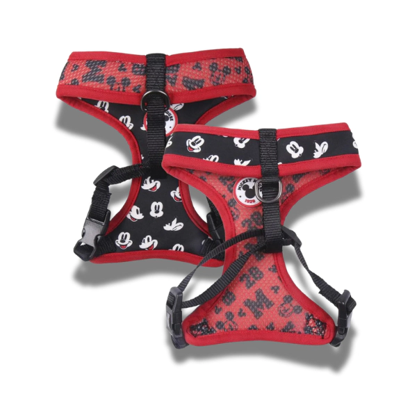 ARNES MICKEY