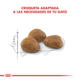 Royal Canin Gato Active 7+ 1,5Kg