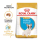 Royal Canin Perro Bulldog Frances Puppy