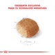 Royal Canin Perro Schnauzer Adulto 3Kg