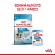 Royal Canin Perro Mini Puppy