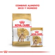 Royal Canin Perro Caniche Adulto
