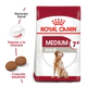 Royal Canin Perro Medium Adulto 7+