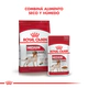 Royal Canin Perro Medium Adulto