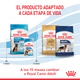 Royal Canin Perro Maxi Puppy