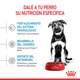 Royal Canin Perro Maxi Puppy
