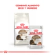 Royal Canin Gato Ageing +12 2Kg