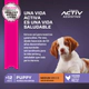 Eukanuba Perro Cachorro Sabor Cordero