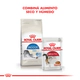 Royal Canin Gato Indoor