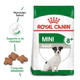 Royal Canin Perro Mini Adulto 8+