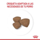 Royal Canin Perro Mini Puppy