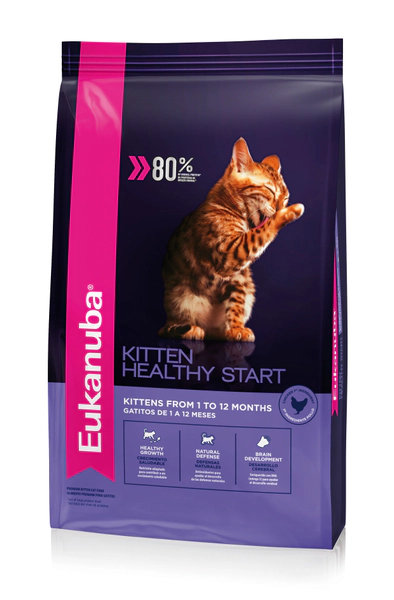 euk kitten