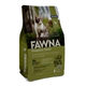 Fawna Gato Kitten