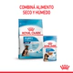 Royal Canin Perro Maxi Puppy