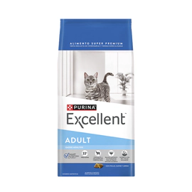 Excellent Gato Adulto