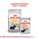 rc mini derma 5