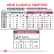 Royal Canin Perro Renal