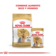 Royal Canin Perro Yorkshire Terrier Adulto