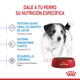 Pouch Royal Canin Perro Mini Puppy