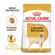Royal Canin Perro Labrador Puppy 12Kg