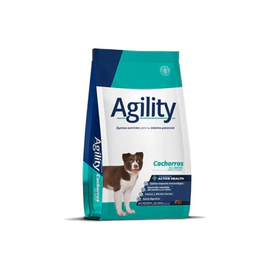 Agility Perro Cachorro