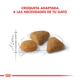 Royal Canin Gato Exigent 1,5Kg