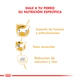 Royal Canin Perro Dachshund Adulto 3kg