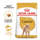 Royal Canin Perro Caniche Adulto