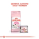 Royal Canin Gato Babycat 1,5Kg