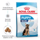Royal Canin Perro Maxi Puppy