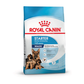 Royal Canin Perro Starter Maxi 10Kg