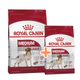 RC MEDIUM ADULTO