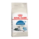 Royal Canin Gato Indoor 7+