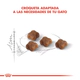 Royal Canin Gato Babycat 1,5Kg