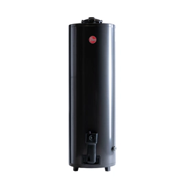 Termotanque Rheem A Gas Natural De Pie 150 L - Tgnp150rh