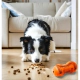 Juguete Mordillo Para Perros Proline