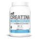 Creatina Monohidrato 1 Kg Ena Sport Micronizada Sin Sabor Sin Sabor