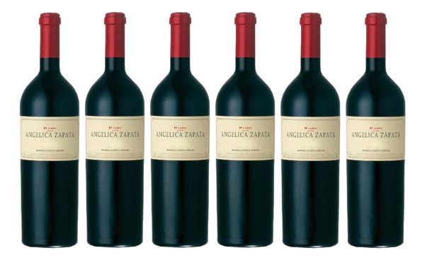 Caja Angelica Zapata Malbec x 6