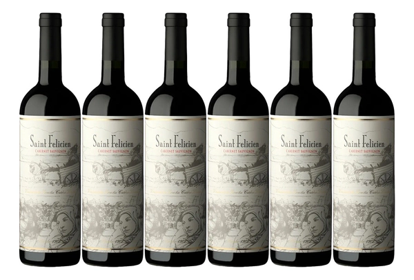 Caja Saint Felicien Caber Sauv 750M x 6