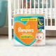 Pampers Babysan Med 72 Un Mediano (m) Sin Género
