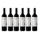 Caja Sottano Malbec 750 ml x 6